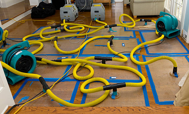 Professional Burst Pipe Water Damage technician working in Wendell, ID